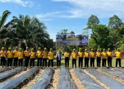 Polda Sultra Tabur 1000 Benih Ikan dan Penanaman Bibit Tanaman Pangan di Konawe, Dukung Ketahanan Pangan Nasional