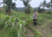 Bhabinkamtibmas Dampingi Warga Sukseskan Ketahanan Pangan Nasional
