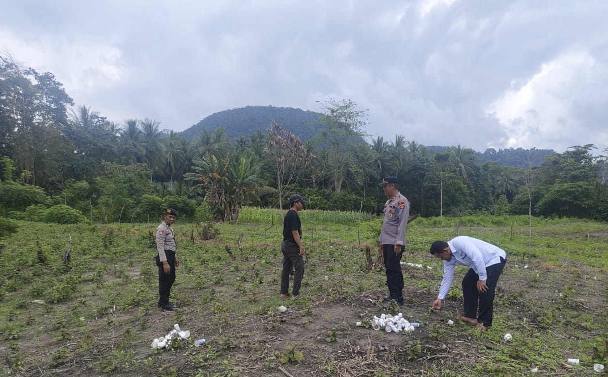 Peninjauan lokasi penanaman jagung