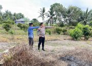 Kolaborasi Wujudkan Ketahanan Pangan dengan Penanaman Jagung