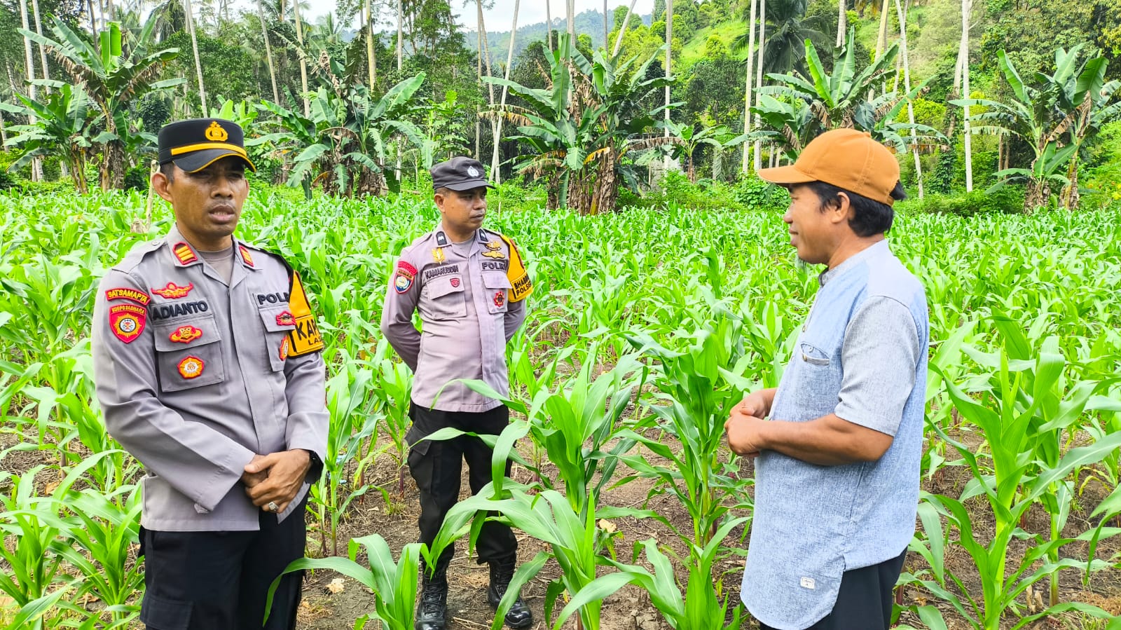 Kunjungan Kapolsek Lasusua di lahan Masyarakat