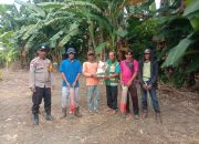 Polsek Lasusua Pacu Ketahanan Pangan, Bhabinkamtibmas Turun Langsung Dampingi Petani Jagung di Desa Tojabi