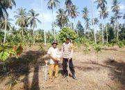 Dukung Asta Cita Presiden, Bhabinkamtibmas Polsek Watunohu Terjang Lahan Jagung Demi Ketahanan Pangan Nasional