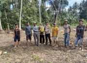 Dukung Asta Cita Presiden, Bhabinkamtibmas Polsek Lasusua Dampingi Warga Tanam Jagung di Desa Rantelimbong